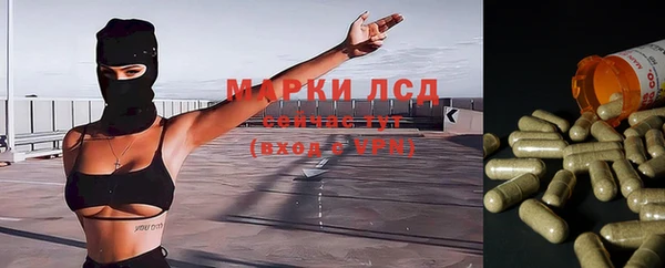 2c-b Бородино