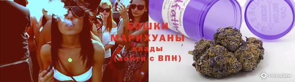 2c-b Бородино