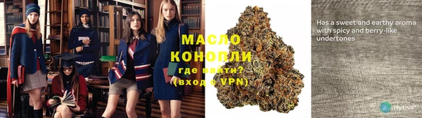 2c-b Бородино