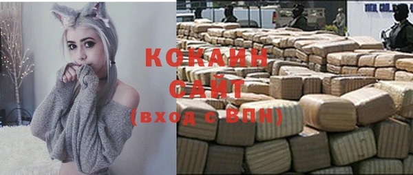 шишки Богородицк