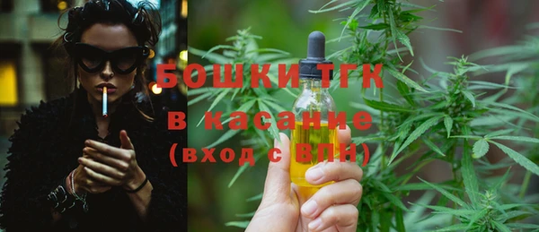 2c-b Бородино