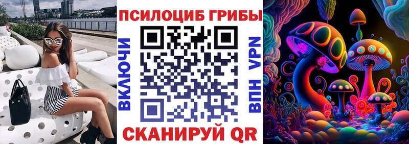Купить  Зеленоградск  Псилоцибиновые грибы Magic Shrooms 